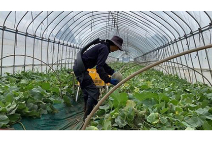 農林水産業